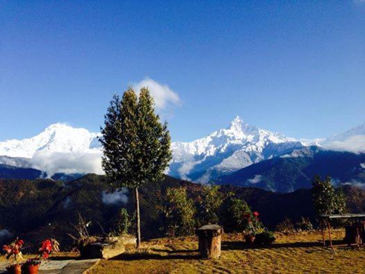 Himalayan Deurali Resort Pokhara Eksteriør bilde